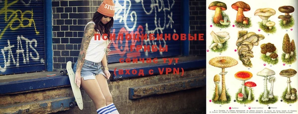 тгк Переславль-Залесский