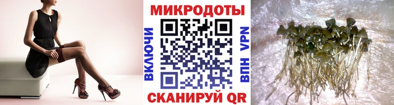 OMG вход Боготол Псилоцибиновые грибы мицелий